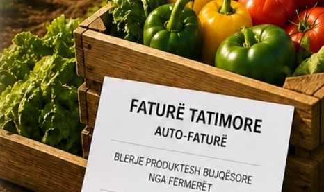 Ruani autofaturat për kompensimin e TVSH, nga 1 korriku do të kërkohet edhe verifikim online